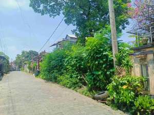 jl trenggana penatih denpasar timur lokasi di Denpasar Kota, tersedia melalui melalui situs Olx