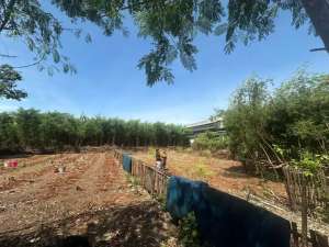 Jual atau Sewa Land Kalimalang Jl Inspeksi Sakuran Tarum Barat Cipinang lokasi di Jakarta Timur, tersedia melalui melalui situs Olx