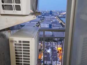 JUAL CEPAT APARTEMEN GREENLAKE SUNTER SOUTHERN SUNTER 2BR LANTAI 20 lokasi di Jakarta Utara, tersedia melalui melalui situs Olx