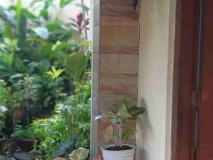 JUAL CEPAT Jl. Mandar Bintaro Jaya Sektor 3A Rumah 2 Lantai SHM 6,3 M Nego lokasi di Jakarta Selatan, tersedia melalui melalui situs Olx