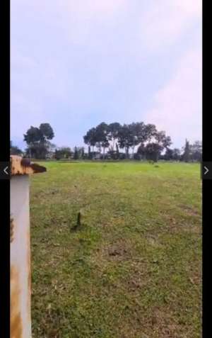 Jual Cepat Kavling View Golf Suvarna Sutera Cikupa Tangerang lokasi di Tangerang Kab., tersedia melalui melalui situs Olx