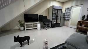 JUAL CEPAT LANGKA,FURNISH 4x13, DEKAT KOLAM RENANGTAMAN RUMAH GOLF , tersedia melalui melalui situs Olx