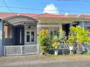 jual cepat murah rumah siap huni belakang Araya ...perumahan Koala Regency lokasi di Surabaya Kota, tersedia melalui melalui situs Olx