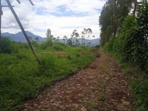 JUAL CEPAT MURAH TANAH KEBUN PRODUKTIF lokasi di Bandung Kab., tersedia melalui melalui situs Olx