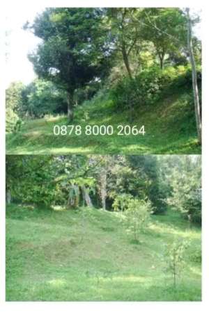 Jual cepat murah tanah muarasari tajur tol ciawi bogor jawa barat lokasi di Bogor Kota, tersedia melalui melalui situs Olx