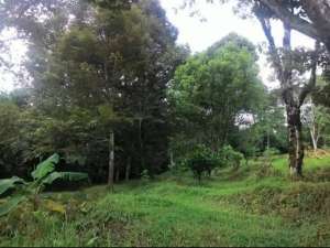 Jual CepatNEGO Tanah LUAS di Ungaran, Kab. Semarang lokasi di Semarang Kab., tersedia melalui melalui situs Olx