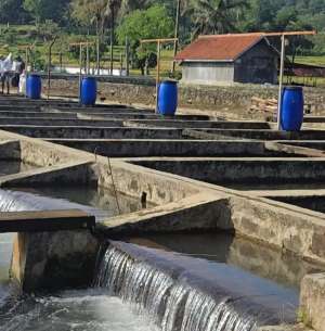 Jual Cepat Prospek Bisnis Bagus Lahan Kolam Ikan Air Deras lokasi di Purwakarta Kab., tersedia melalui melalui situs Olx