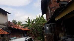 Jual Cepat RumahKiosSarang Walet lokasi di Tangerang Kab., tersedia melalui melalui situs Olx