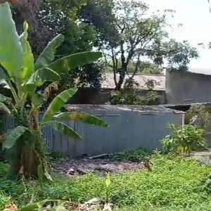 Jual Cepat Tanah Kebun Di Pondok Serut Nempel Graha Raya Bintaro lokasi di Tangerang Selatan Kota, tersedia melalui melalui situs Olx