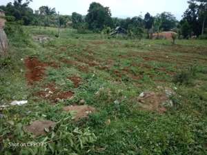 JUAL CEPAT TANAH MURAH BANJARAN BANDUNG SELATAN lokasi di Bandung Kab., tersedia melalui melalui situs Olx