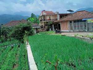 JUAL CEPAT TANAH MURAH SANGAT STRATEGIS CIWIDEY BANDUNG SELATAN lokasi di Bandung Kab., tersedia melalui melalui situs Olx