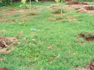 JUAL CEPAT.. TANAH SHM 3095m komplek pemda jatiasih, Pekayon, Galaxy, Bekasi kota lokasi di Bekasi Kota, tersedia melalui melalui situs Olx