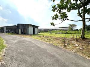 Jual Cepat Tanah SHMP Area Palagan Sleman lokasi di Sleman Kab., tersedia melalui melalui situs Olx