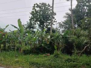 Jual Cepat Tanah SHMS di Pakem Sleman dekat Fasum lokasi di Sleman Kab., tersedia melalui melalui situs Olx