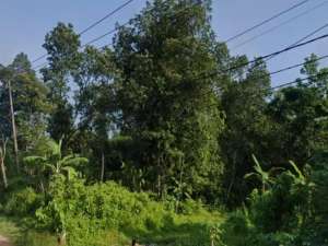 Jual Cepat Tanah Tenjo Pinggir Jalan Strategis Kab. Bogor Tenjo, Kab. Bogor, Jawa Barat lokasi di Bogor Kab., tersedia melalui melalui situs Olx