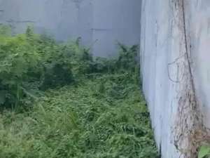 Jual Kavling Tanah di Green Garden HGB Jual Tanah di dalam perumahan Green Garden Jakarta Barat lokasi di Jakarta Barat, tersedia melalui melalui situs Olx