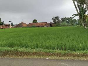 Jual Kebun Dan Sawah778 MDPLUdara Sejuk Tanah Subur lokasi di Purwakarta Kab., tersedia melalui melalui situs Olx