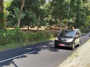 JUAL KEBUN MANGGIS, DURIAN, PETE, PALA, CENGKEH DLL, DI KAWASAN VILA lokasi di Purwakarta Kab., tersedia melalui melalui situs Olx