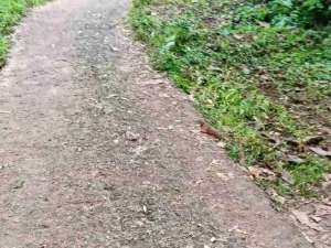 jual kebun murah harga per meter 21 ribu deket pemukiman warga lokasi di Serang Kab., tersedia melalui melalui situs Olx