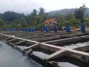 Jual Kolam Deras, Kolam Ikan, Sudah Produksi Perusahaan Prinadi lokasi di Purwakarta Kab., tersedia melalui melalui situs Olx