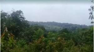 JUAL LAHAN 35 Ha di PURWAKARTA lokasi di Purwakarta Kab., tersedia melalui melalui situs Olx