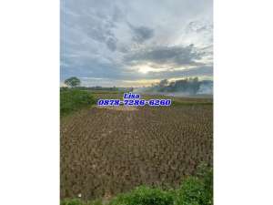 JUAL MURAH 2 MAN NEGO KARAWACI TANAH PADAT SAWAH LEGOK 935m lokasi di Tangerang Kab., tersedia melalui melalui situs Olx