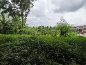 JUAL MURAH HARGA 12 Jutam UNTUK ZONA KOMERSIAL STRATEGIS lokasi di Semarang Kota, tersedia melalui melalui situs Olx