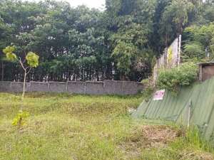 Jual murah kavling Saguara Taman Dayu lokasi di Pasuruan Kab., tersedia melalui melalui situs Olx