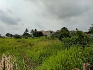 JUAL MURAH Tanah 1 Hektar di Pamulang 10 menit ke pasar modernTol BSD lokasi di Tangerang Selatan Kota, tersedia melalui melalui situs Olx