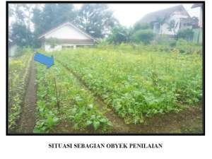 Jual Murah Tanah 200 m2 Bawah NJOP Villa Lotus Cipanas lokasi di Cianjur Kab., tersedia melalui melalui situs Olx