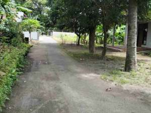 Jual Murah Tanah di Potorono Banguntapan Bantul Yogyakarta lokasi di Bantul Kab., tersedia melalui melalui situs Olx