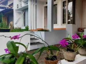 Jual Rumah Bogor Nirwana Residence Cluster Padma Nirwana Full Furnish Incld Water Heater 3 KT Nego lokasi di Bogor Kota, tersedia melalui melalui situs Olx