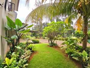 Jual rumah siap huni lokasi di Bogor Kab., tersedia melalui melalui situs Olx