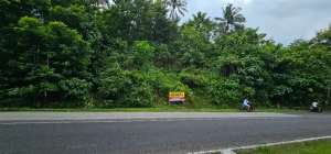 Jual Sebidang tanah lokasi di Purworejo Kab., tersedia melalui melalui situs Olx