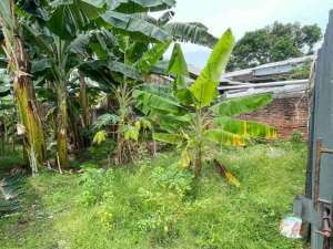 Jual Tanah 127m di Pondok Rajeg Cibinong Bogor lokasi di Depok Kota, tersedia melalui melalui situs Olx