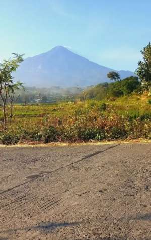JUAL TANAH AREA WISATA PACET VIEW 2 GUNUNG lokasi di Mojokerto Kab., tersedia melalui melalui situs Olx