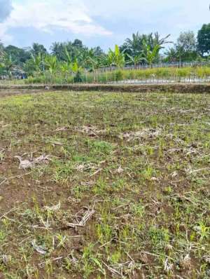 JUAL TANAH ASRI PURWOKERTO, AIR MELIMPAH VIEW MEWAH lokasi di Banyumas Kab., tersedia melalui melalui situs Olx