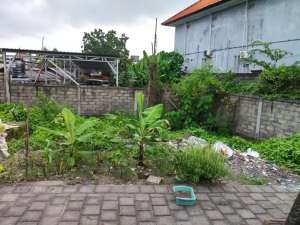 JUAL TANAH BAGUS UBUNG lokasi di Denpasar Kota, tersedia melalui melalui situs Olx