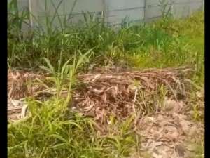 Jual Tanah Bogor Caringin Pinggir Jalan Raya Bogor dan Tol lokasi di Bogor Kota, tersedia melalui melalui situs Olx