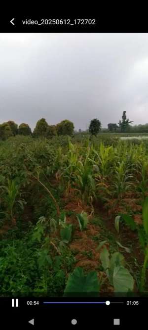 Jual tanah cigugur lokasi di Kuningan Kab., tersedia melalui melalui situs Olx