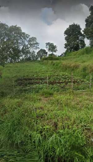 Jual tanah cigugur lokasi di Kuningan Kab., tersedia melalui melalui situs Olx