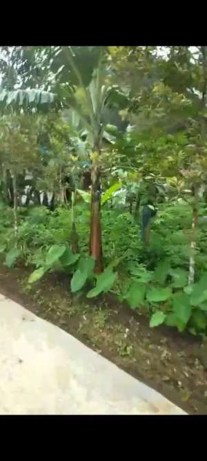 Jual tanah cilimus lokasi di Kuningan Kab., tersedia melalui melalui situs Olx