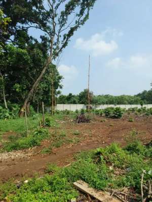 Jual tanah cisauk , dekat Citra garden serpong, tangsel lokasi di Tangerang Kab., tersedia melalui melalui situs Olx
