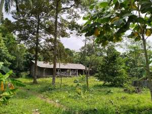 Jual Tanah Datar Di Jl. Raya Kiarapedes Purwakarta lokasi di Purwakarta Kab., tersedia melalui melalui situs Olx