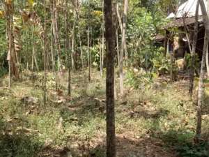 Jual TanahDayurejo Prigen Pandaan lokasi di Pasuruan Kab., tersedia melalui melalui situs Olx