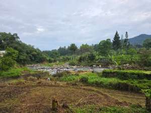 JUAL TANAH DEKAT KALI BERSIH lokasi di Bogor Kab., tersedia melalui melalui situs Olx