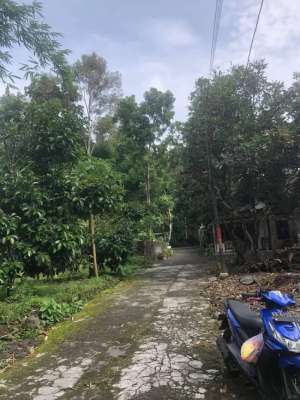 jual tanah dekat kampus uii jalan kaliurang lokasi di Sleman Kab., tersedia melalui melalui situs Olx