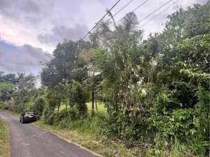 jual tanah dekat pantai soka selemadeg lokasi di Tabanan Kab., tersedia melalui melalui situs Olx