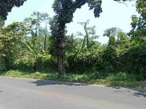 jual Tanah di Beringin Ngaliyan semarang lokasi di Semarang Kota, tersedia melalui melalui situs Olx