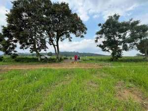 jual tanah di Cisarua puncak Bogor legalitas SHM lokasi di Bogor Kab., tersedia melalui melalui situs Olx